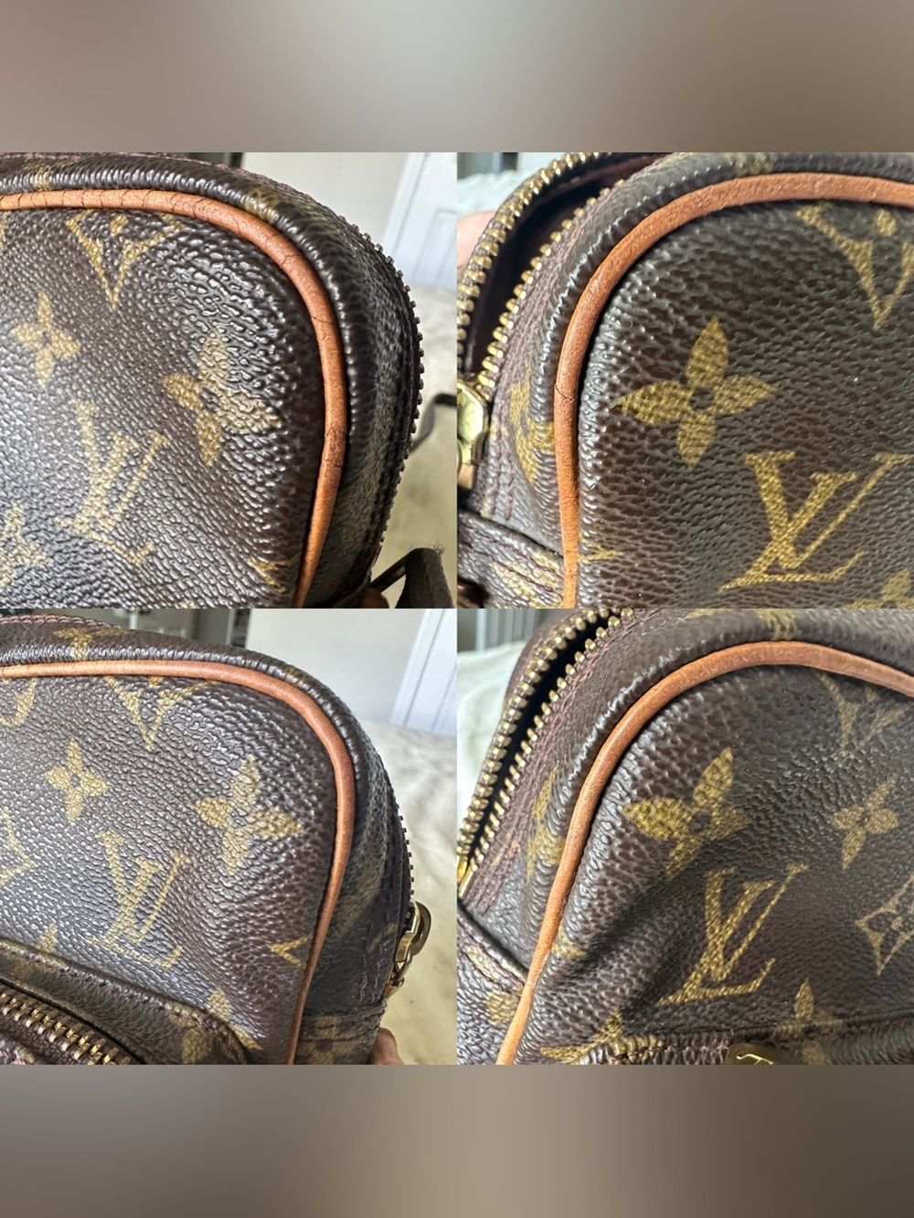 Louis Vuitton Amazone Crossbody Bag - Picture 7 of 16